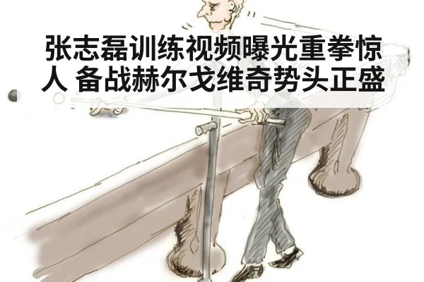 张志磊训练视频曝光重拳惊人 备战赫尔戈维奇势头正盛