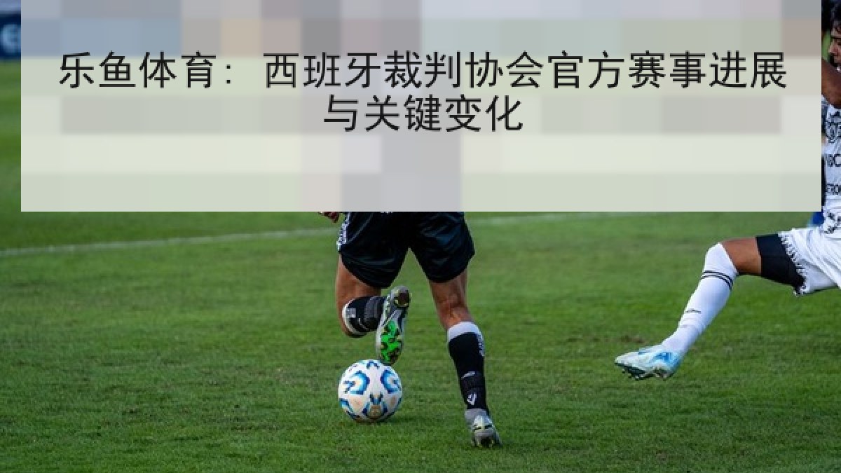 乐鱼体育: 西班牙裁判协会官方赛事进展与关键变化