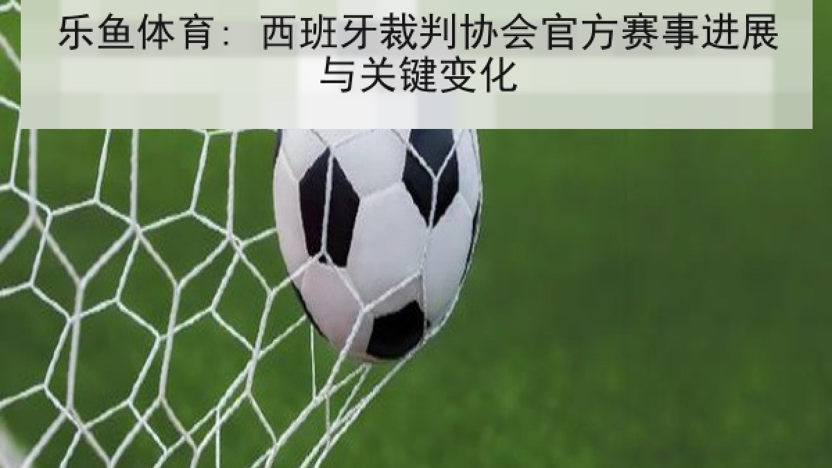 乐鱼体育: 西班牙裁判协会官方赛事进展与关键变化